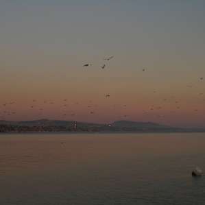 Doheny Doheny