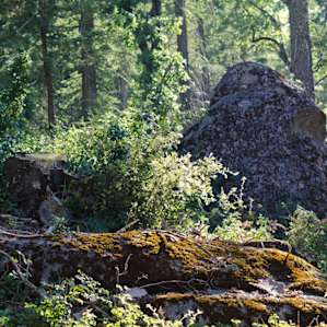 Palomar Mountain Palomar Mountain