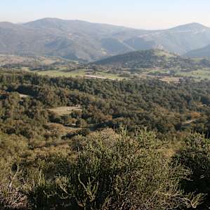 Palomar Mountain Palomar Mountain