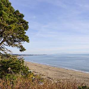 Seacliff Seacliff
