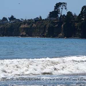 Seacliff Seacliff