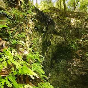 Falling Waters Falling Waters