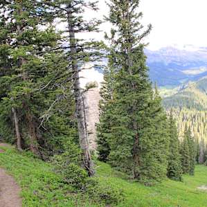 Uncompahgre Uncompahgre