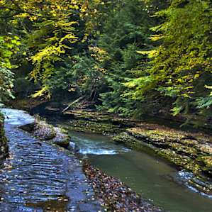 Watkins Glen Watkins Glen