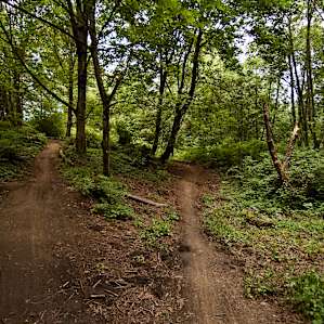 Dash Point Dash Point