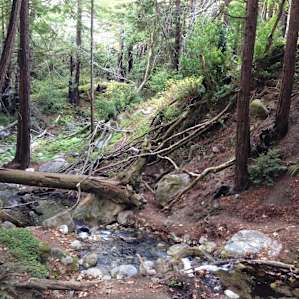 Creek, September 2014