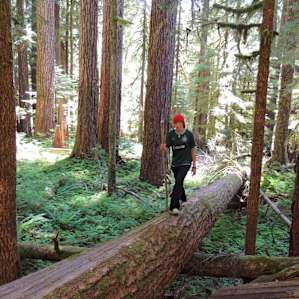 Hiking in the Sol Duc Valley is an awesome experience for kids and adults.