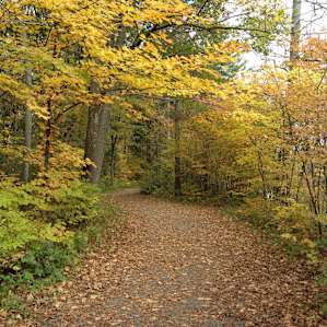 Savanna and Riverway Campground