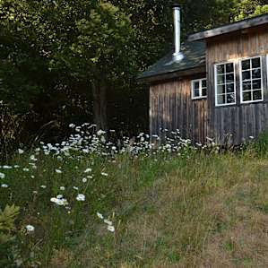 Newbird Cabin