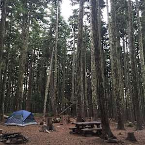 Campsite #4