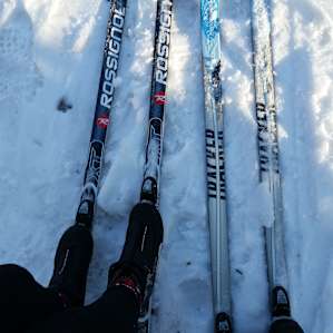Great cross country ski trails