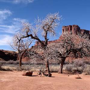 Potato Bottom Camp, White Rim Trail