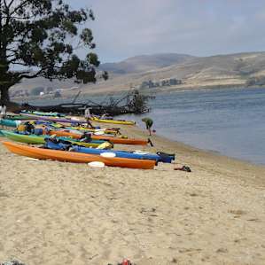 Tomales Bay