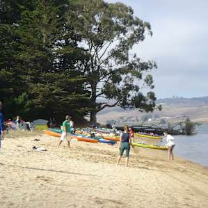 Tomales Bay