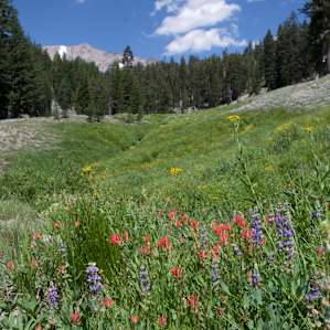 Lassen Volcanic Lassen Volcanic
