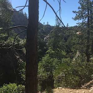 Trail to the campground.
