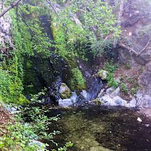 Pool at the base of Cooper Canyon Falls, ~1.5 mi downhill (roughly East) from the campground. As you hike out, keep an eye out to the left for a drop in the creek altitude. We missed it. If you continue past the waterfall, there's a nice stream crossing.