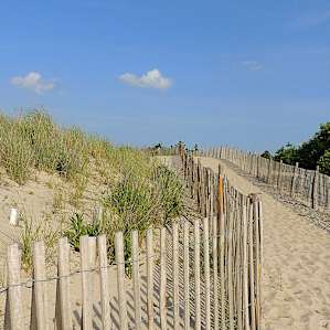 Headed to the beach at Cape Henlopen.