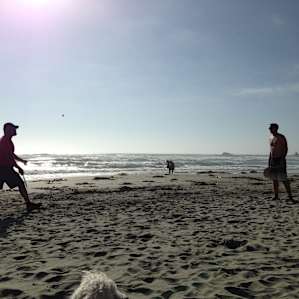 Sand Dollar Beach just down the road