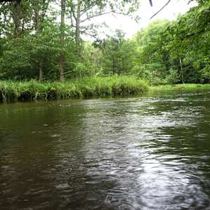 Looking downstream from site #3