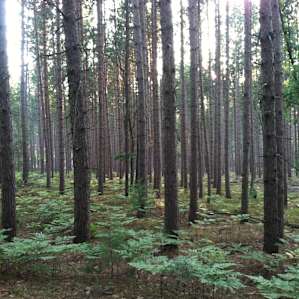 Entering the camp ground