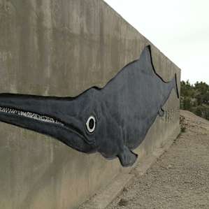 The ichthyosaur.