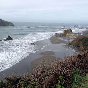 Harris Beach Campground