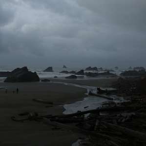 Harris Beach Campground