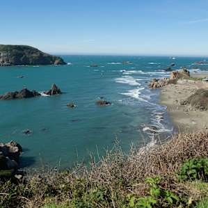 Harris Beach Campground