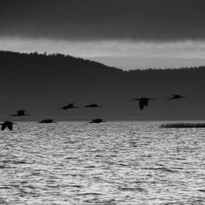 Goose Lake Campground