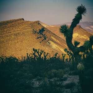 Ricardo Campground