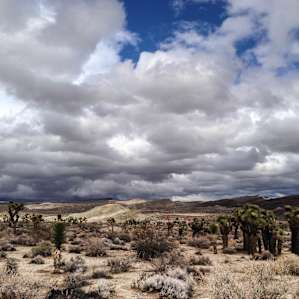 Ricardo Campground