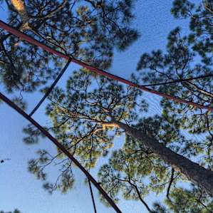 What a sight to wake up to. Most of the camping areas have a bit of shade from that hot Florida sun.