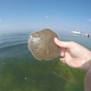 Heaps of interesting sea life to discover!