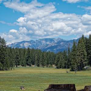 Meadow on nature trail out of camp