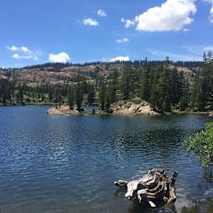 Salmon Lake. You can swim, walk, kayak out to the island and some fun rocks to jump off.