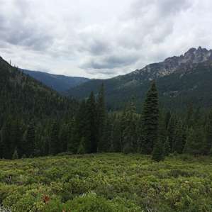 View just down the road from the campsite.