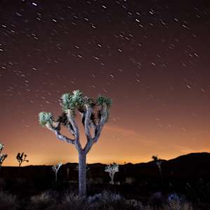 Night is the best time to photograph the desert, in my opinion.