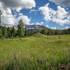 Uncompahgre Uncompahgre