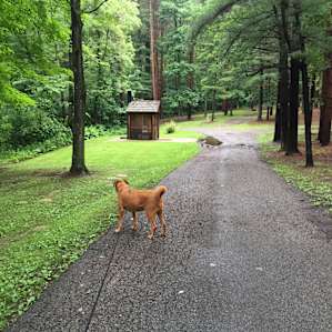 Beaver Creek Campground