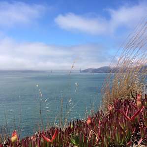 View of the Golden Gate Bridge from the perimeter road.