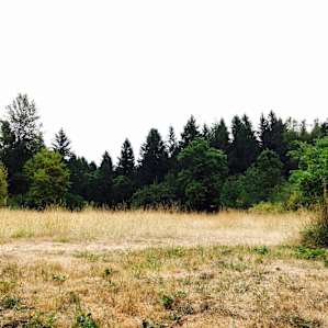 Milo McIver Campground