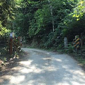 If you can find this entrance off hwy 1, about 15 miles from Legget, you've found the road to Usal.