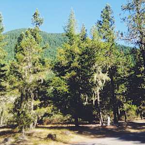 Green, mossy terrain. You could hear the nearby stream.