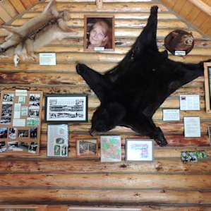 The tiny nature center is pretty awesome with a library where you can check out field guides and other books.