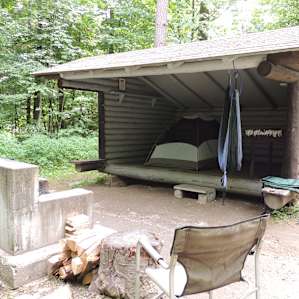 Cherry lean-to
