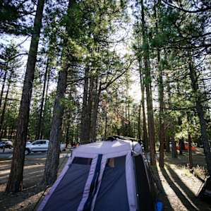 Morning light... most campsites are shades by tall trees.