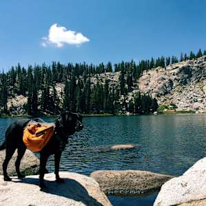 At Cliff Lake, three hours' hike from Trapper Springs.