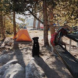 Morning light at site 10.