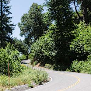 The road to the campground and past it to the general store at the top of the mountain is so pretty.